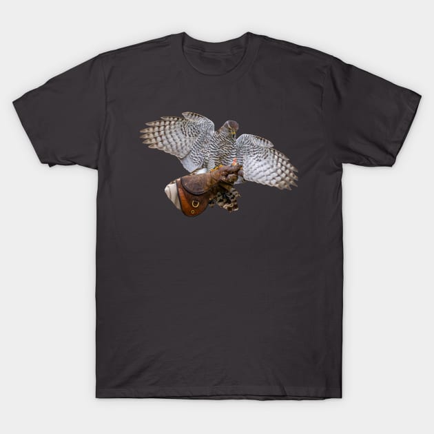 Goshawk about to land T-Shirt by dalyndigaital2@gmail.com